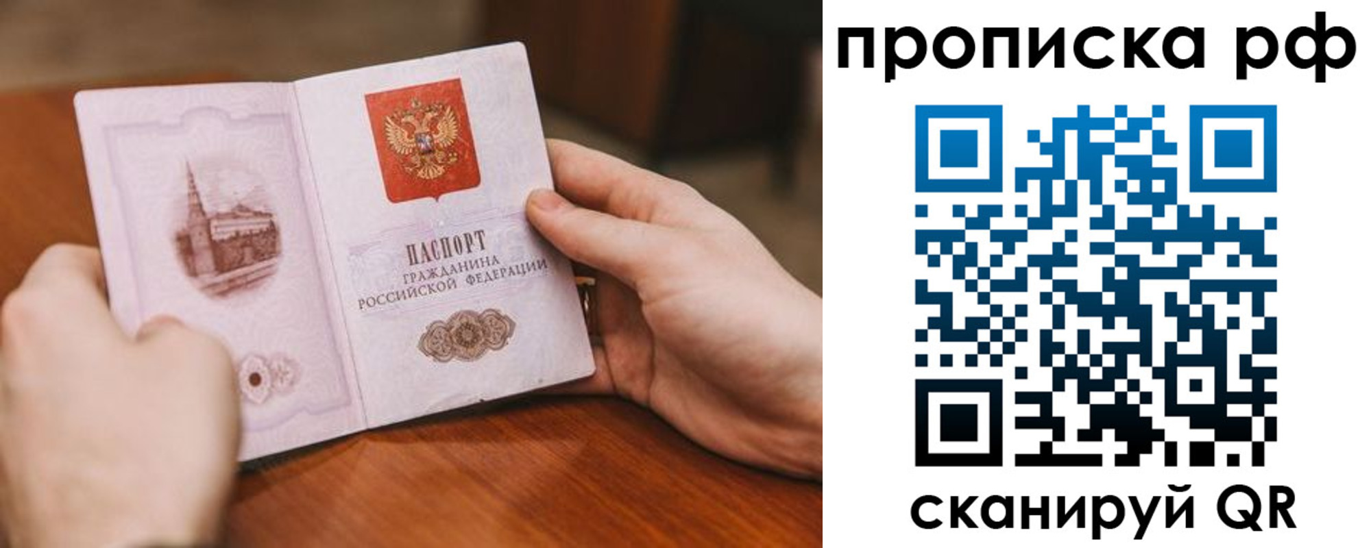 прописка поиск в Чите
